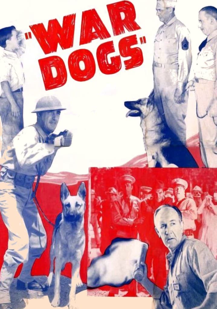 Poster for War Dogs