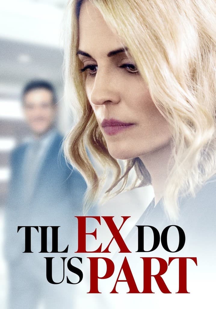 Poster for Til Ex Do Us Part