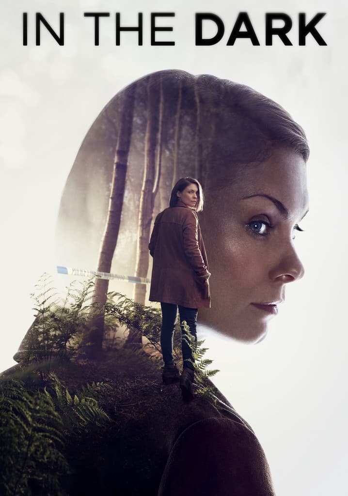 Poster for In the Dark