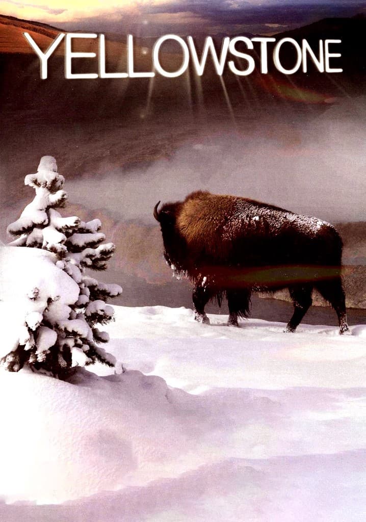 Poster for Yellowstone